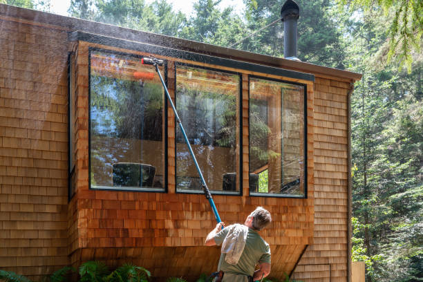 Professional window cleaning services for commercial and residential properties